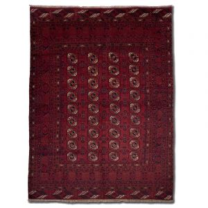 Turkmenský, ručně vázaný orientální koberec Sheberghan Turkmen 292 x 221 cm